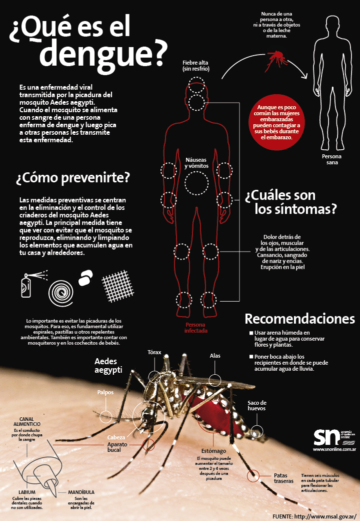 Infografia sobre el dengue.